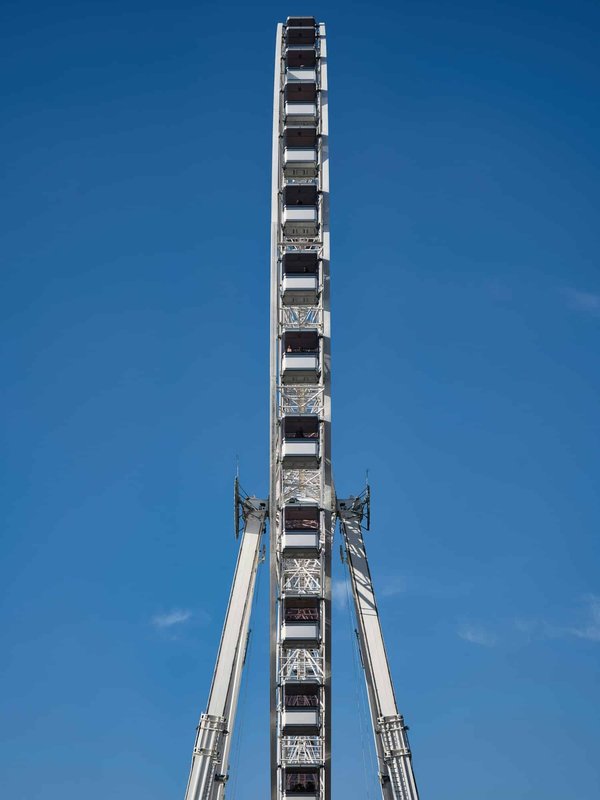 How to Choose the Right Size and Shape of a Wheel for a Syrian Hamster?